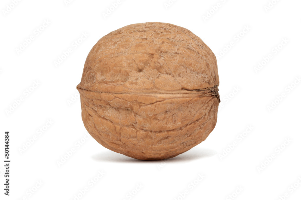One walnut (isolated) One walnut (isolated)