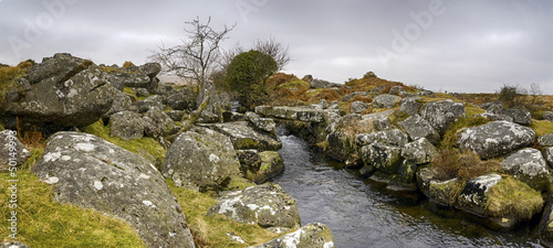 Walla Brook on Dartmoor