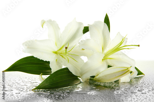 Fototapeta Naklejka Na Ścianę i Meble -  Beautiful lily, isolated on white
