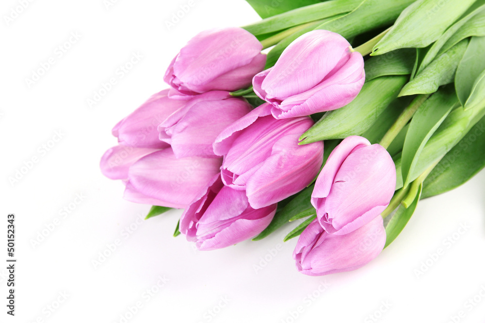 Beautiful bouquet of purple tulips, isolated on white