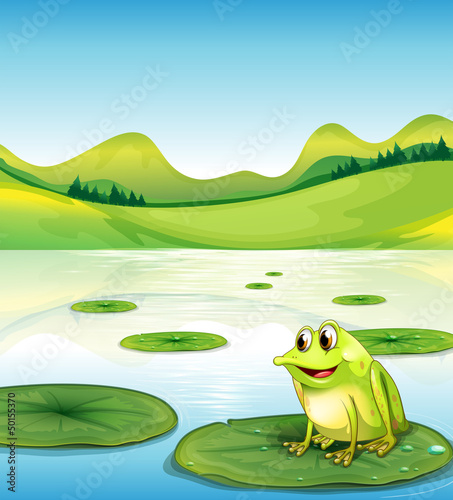 A frog above the water lilly