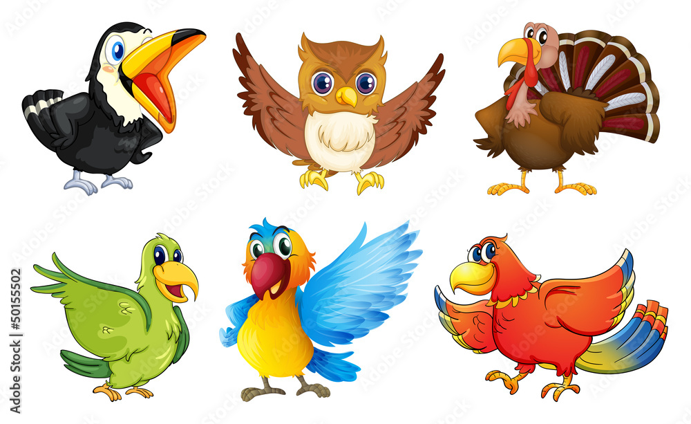 Naklejka Different kinds of birds