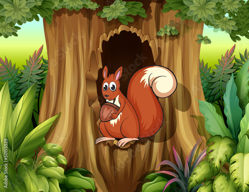 A squirrel in a hollow holding a nut