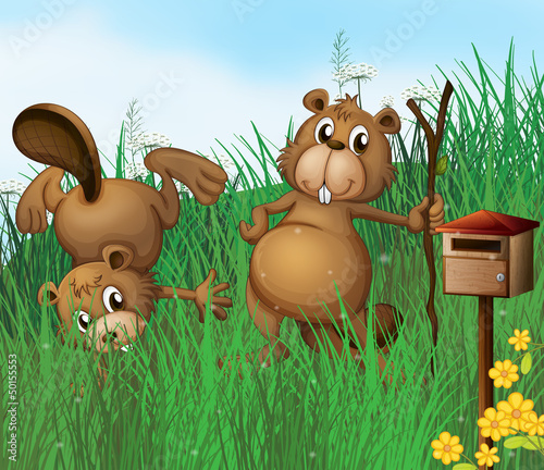 Two beavers beside a wooden mailbox