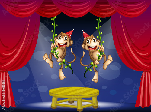 Two monkeys performing at the  stage