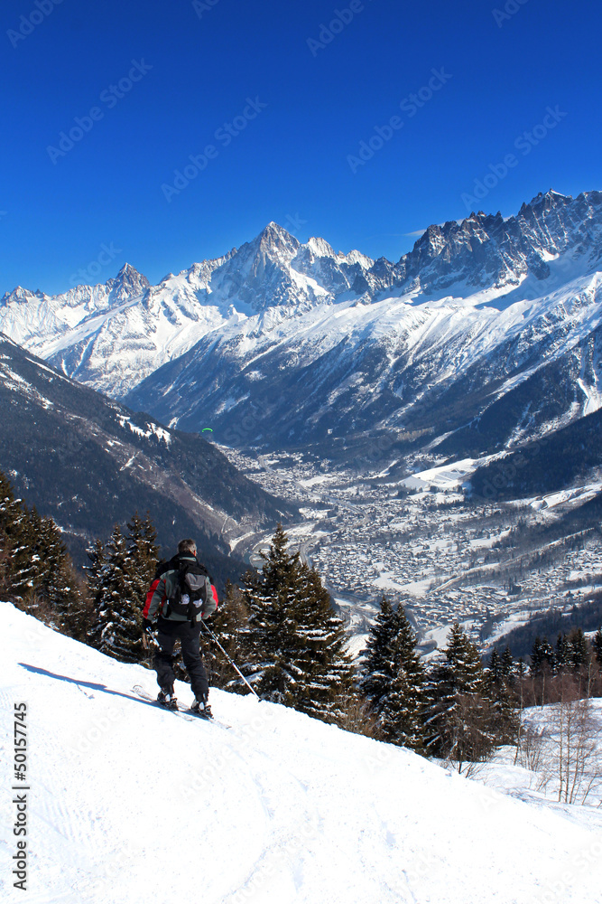 Vallée de Chamonix (vue du Prarion - Les Houches)