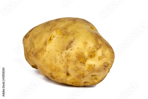 Singal Giant Potato