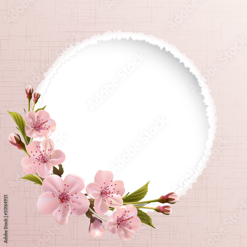 Spring background with pink cherry flowers