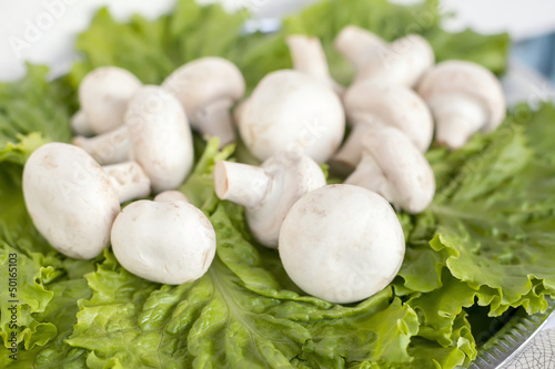 field mushrooms on lettuce