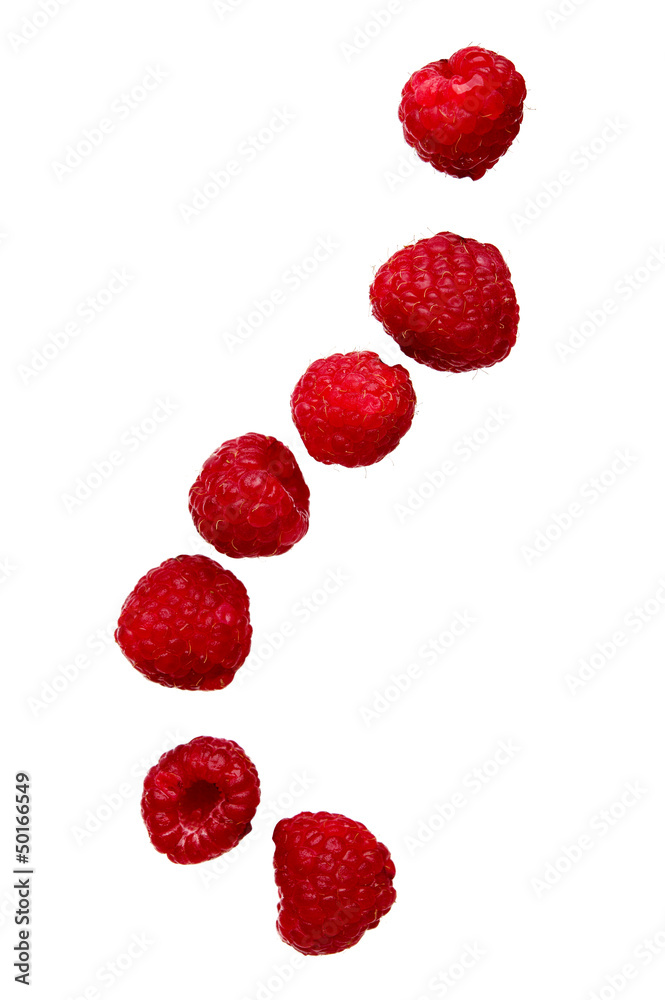 Raspberries falling isolated on a white background Raspberries falling isolated on a white background