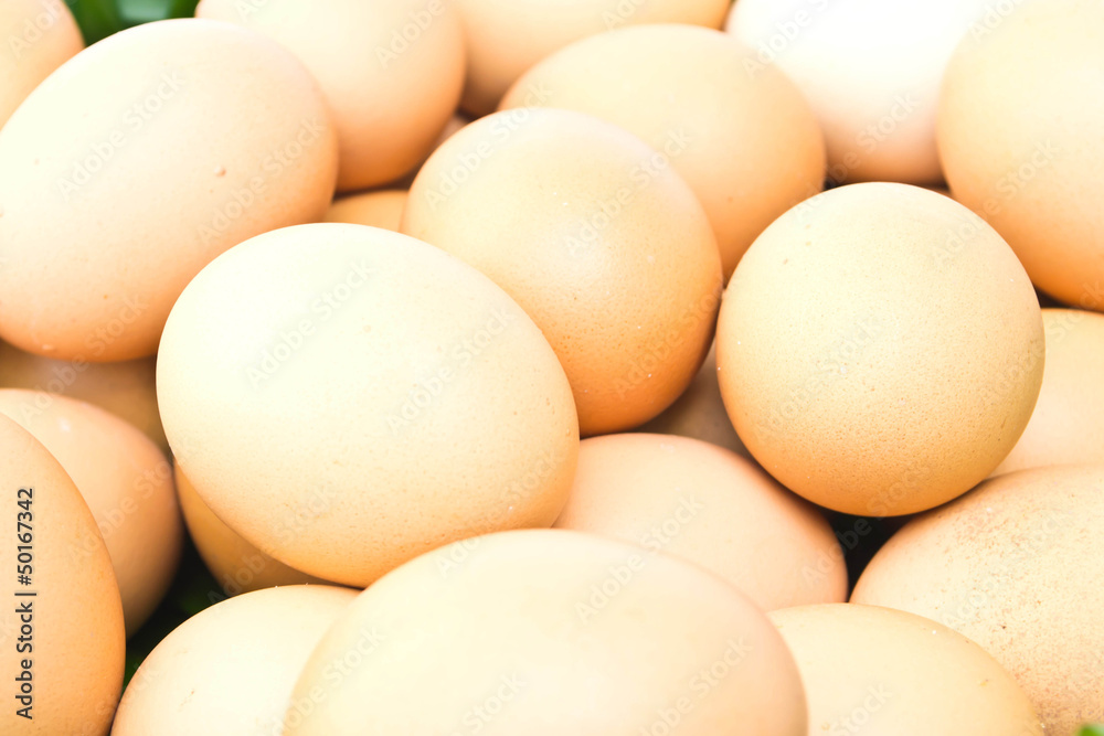 Egg on a white background Egg on a white background