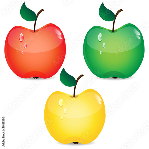 set of apples on a white background