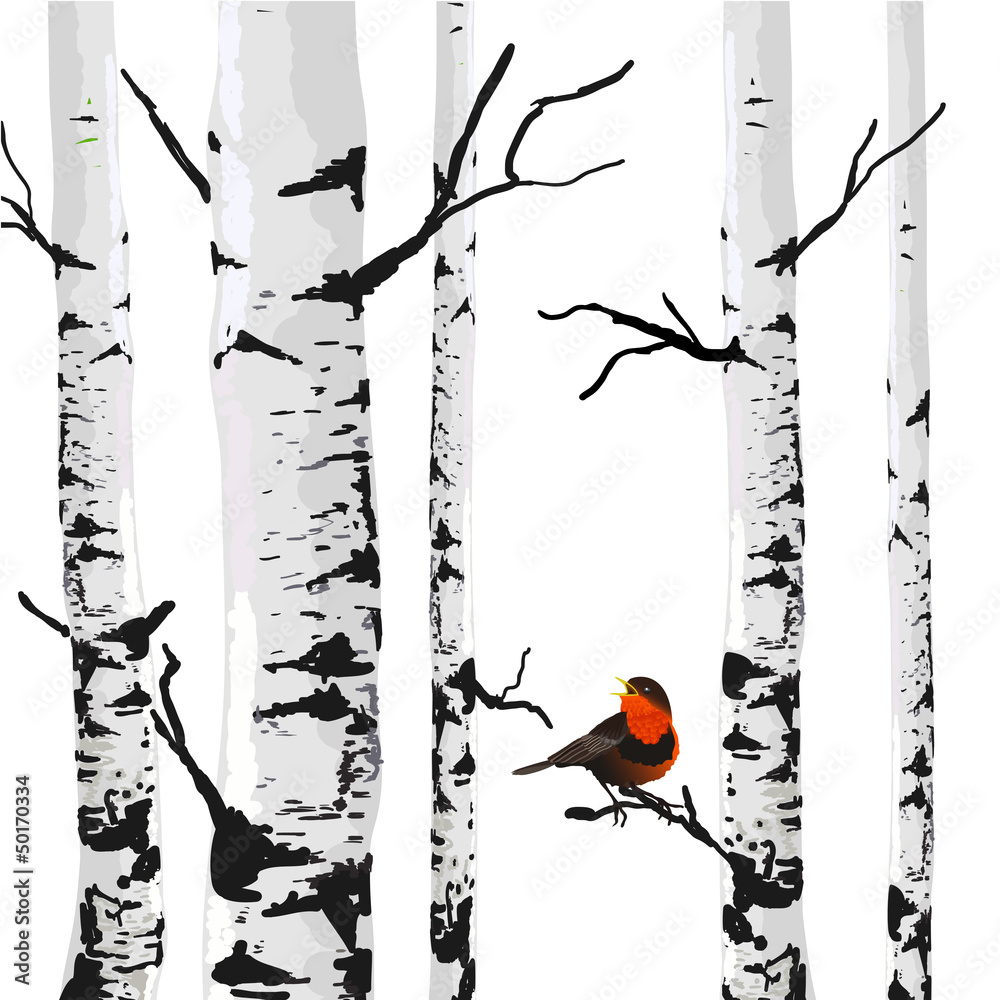 Bird of birches, vector drawing with editable elements. - obrazy, fototapety, plakaty 
