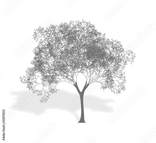 tree