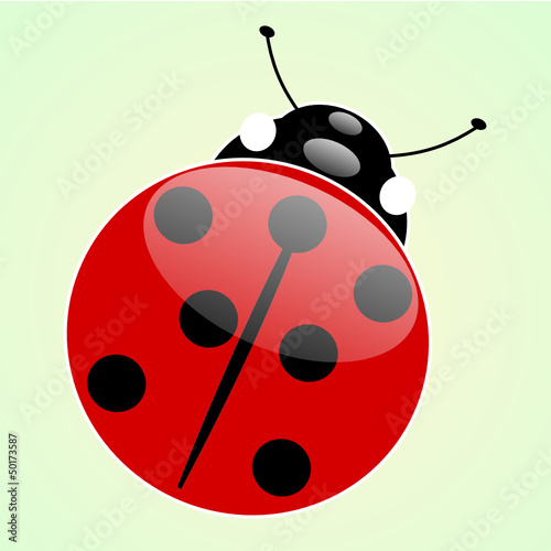 Coccinella