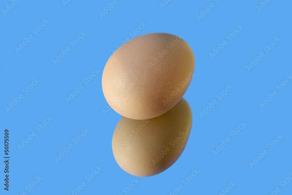 Brown egg and its reflection