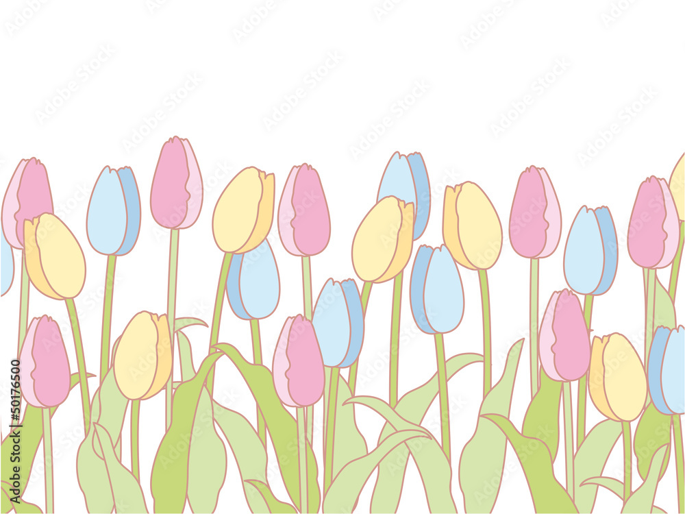 チューリップの花枠 壁紙 Stock Illustration Adobe Stock