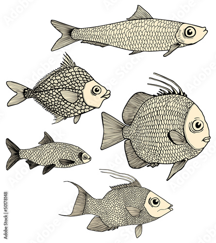 Banc de poissons