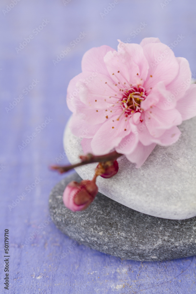 galets zen et branche en fleur