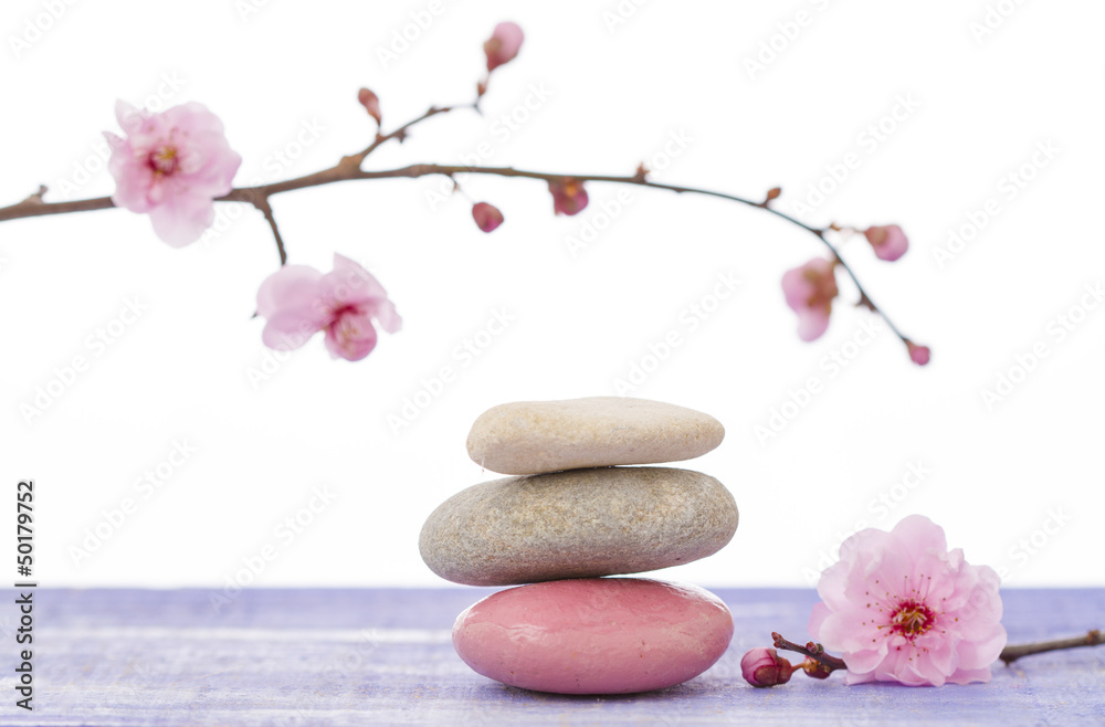 Obraz premium kamyki zen i kwitnąca gałąź