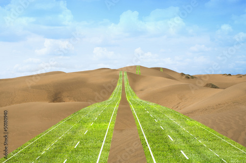 Highway of grass crossing the desert