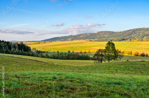 Meadow and hills