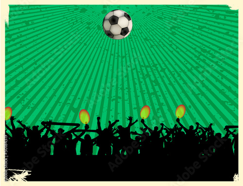 football fans crowd