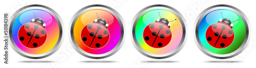 Bottoni portafortuna con coccinella