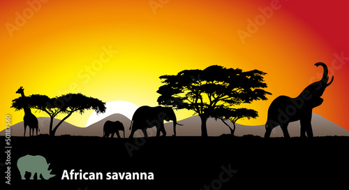 African savanna