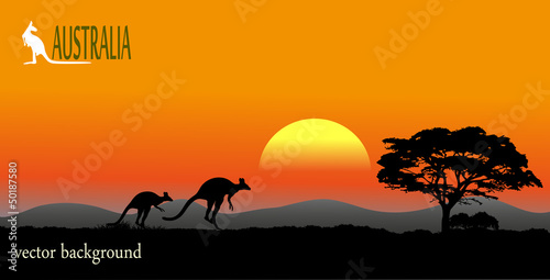 Australian savanna