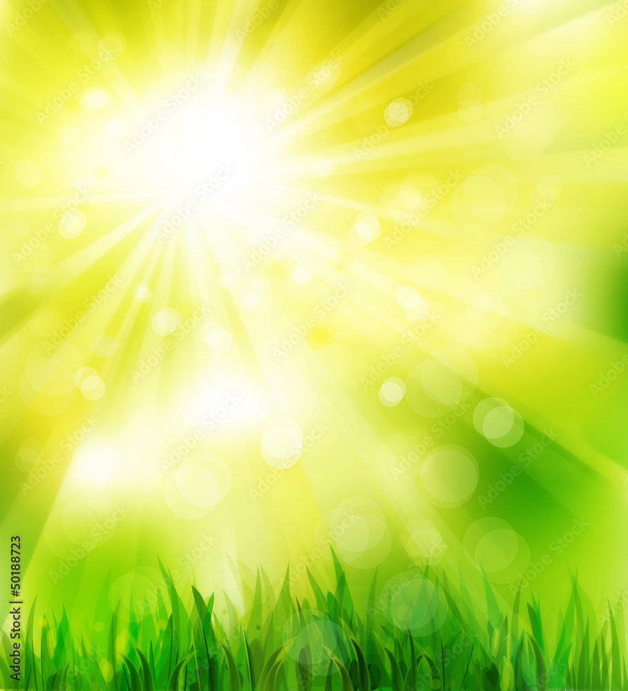Sunny spring background with green grass.