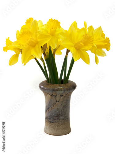 Gelbe Narzissen - Osterglocken