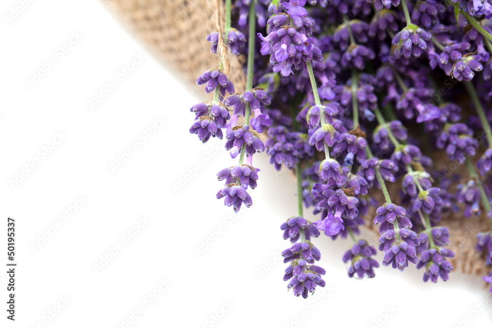 Fototapeta premium lavender flowers in burlap