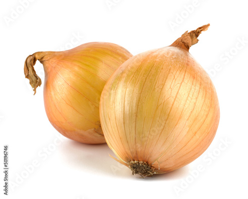 Wallpaper Mural Fresh bulbs of onion on a white background Torontodigital.ca