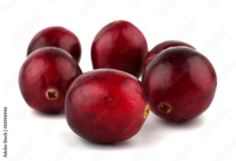 Obraz premium Cranberries isolated on white background