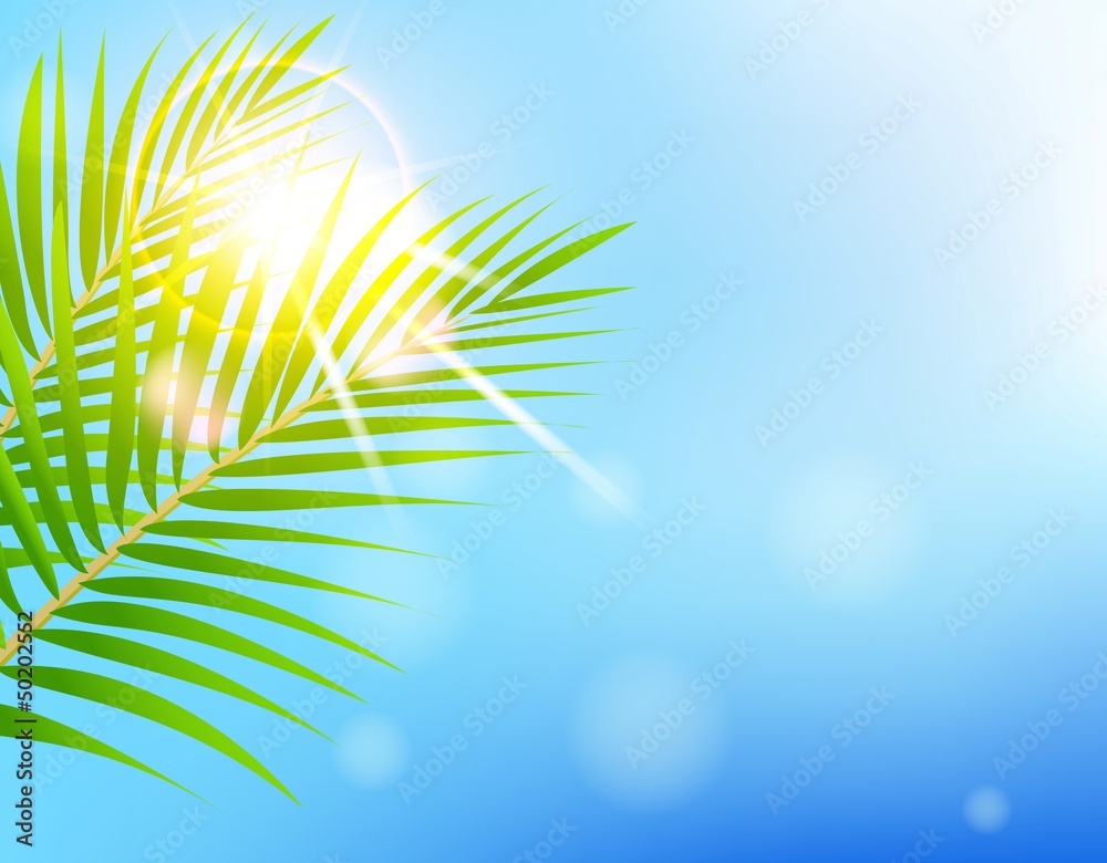 beauty Sunny blue sky and palm tree