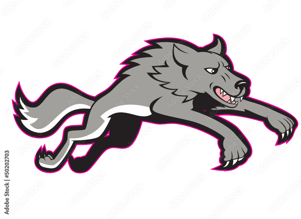 Gray Wolf Wild Dog Jumping Attacking Gray Wolf Wild Dog Jumping Attacking