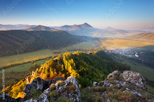Mountain summer landscape with colorful forest photo
