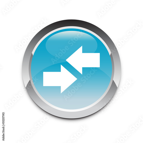 Web icon Flash