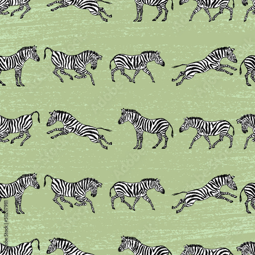 background with zebras