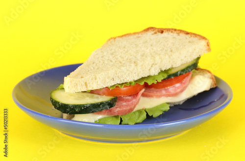 Sandwich on plate on yellow background