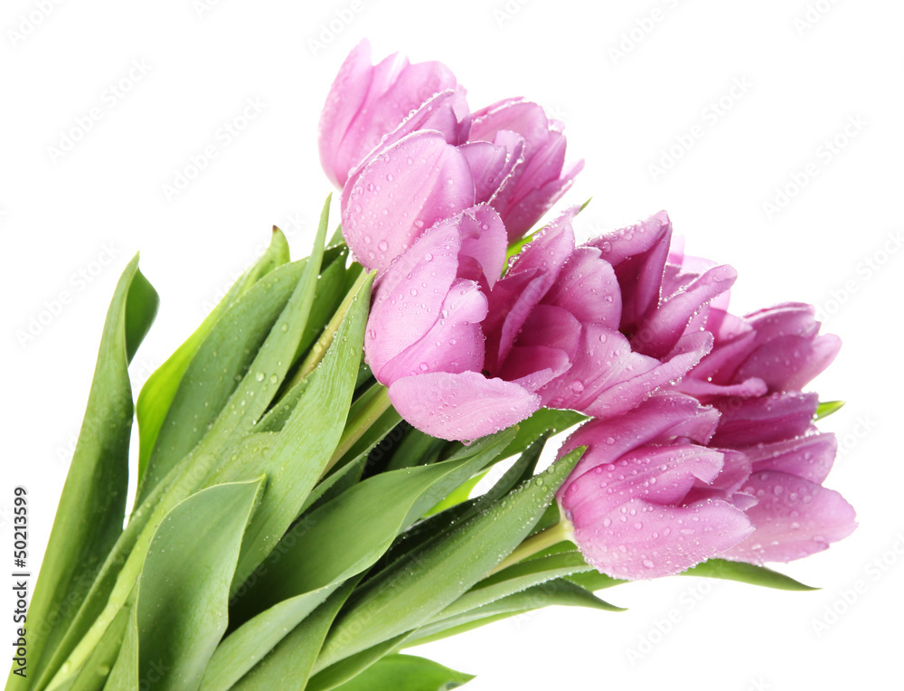Beautiful bouquet of purple tulips, isolated on white Beautiful bouquet of purple tulips, isolated on white