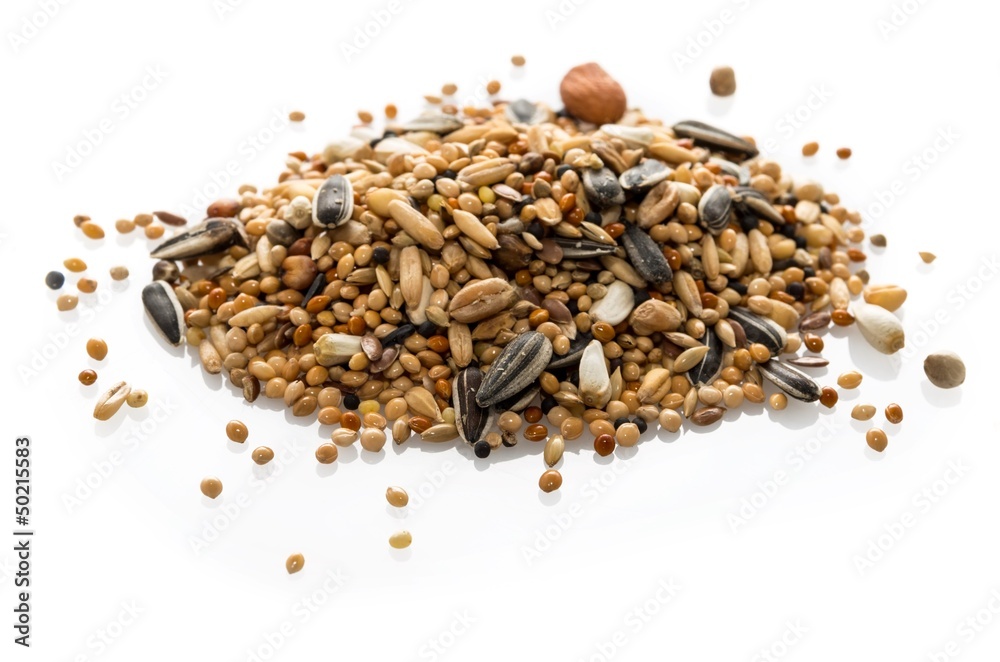 Naklejka premium Mélange de graines pour perruches.