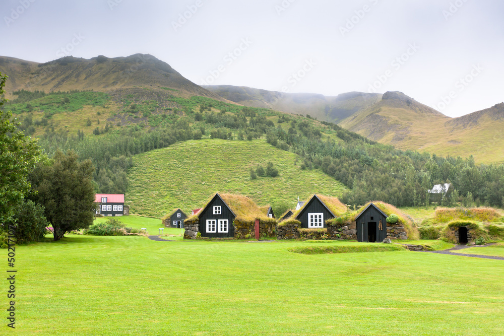 Overgrown Typical Rural Icelandic houses at overcast day