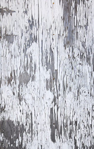 Konstfotografi Old cracky white paint texture on wood