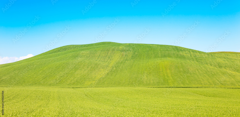 Rural background, rolling hill and green fields landscape, Italy