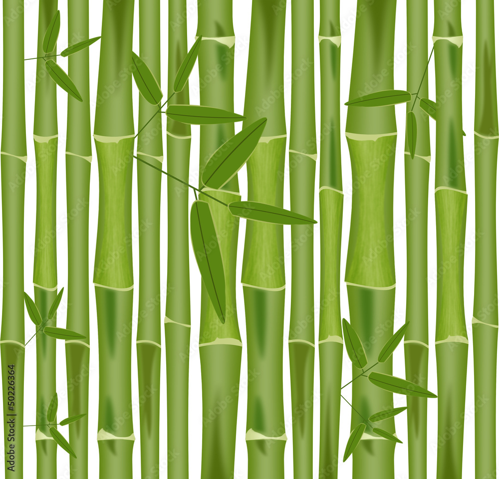 Obraz premium Bambus, Hintergrund