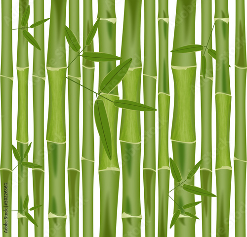Fototapeta Naklejka Na Ścianę i Meble -  Bambus, Hintergrund