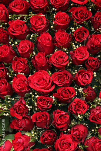 Fototapeta Naklejka Na Ścianę i Meble -  Red roses and small white berries