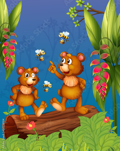 The bees and bear at the forest